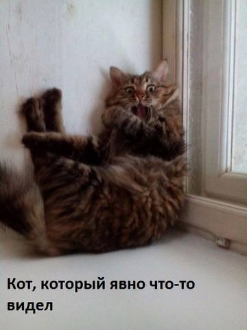 https://upforme.ru/uploads/001a/b7/a9/2/t33510.jpg