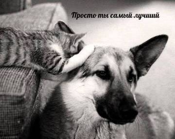 https://upforme.ru/uploads/001a/b7/a9/2/t343840.jpg