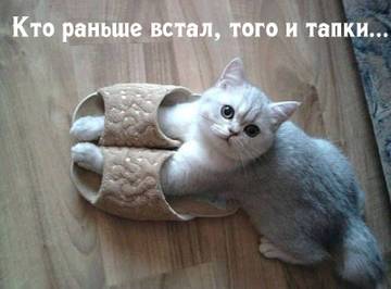 https://upforme.ru/uploads/001a/b7/a9/2/t391179.jpg