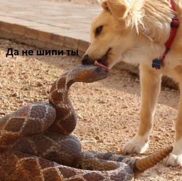 https://upforme.ru/uploads/001a/b7/a9/2/t396349.jpg