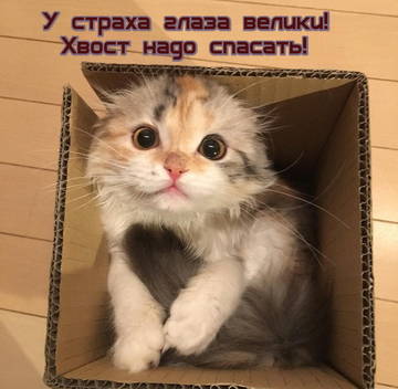 https://upforme.ru/uploads/001a/b7/a9/2/t397724.jpg