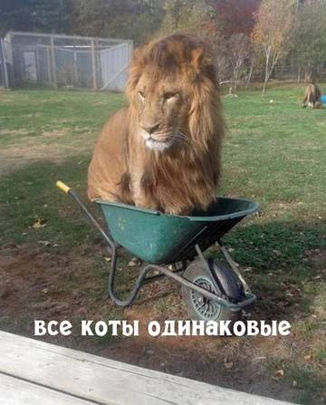 https://upforme.ru/uploads/001a/b7/a9/2/t488376.jpg