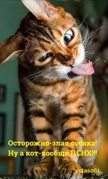 https://upforme.ru/uploads/001a/b7/a9/2/t526689.jpg