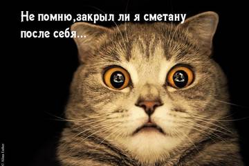 https://upforme.ru/uploads/001a/b7/a9/2/t529240.jpg
