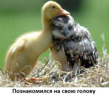 https://upforme.ru/uploads/001a/b7/a9/2/t555108.jpg