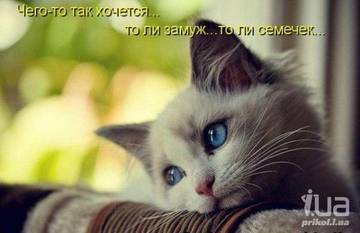 https://upforme.ru/uploads/001a/b7/a9/2/t568004.jpg