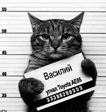 https://upforme.ru/uploads/001a/b7/a9/2/t57409.jpg