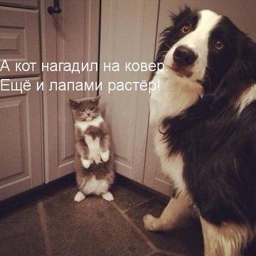 https://upforme.ru/uploads/001a/b7/a9/2/t58648.jpg