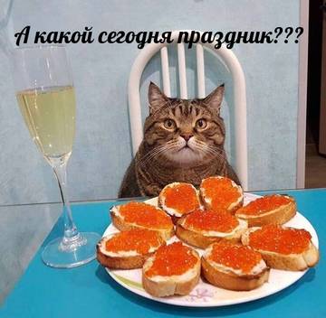 https://upforme.ru/uploads/001a/b7/a9/2/t60475.jpg