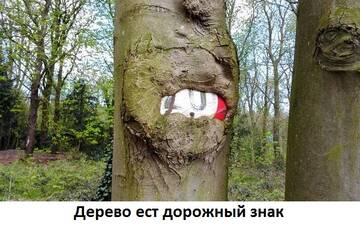 https://upforme.ru/uploads/001a/b7/a9/2/t652347.jpg