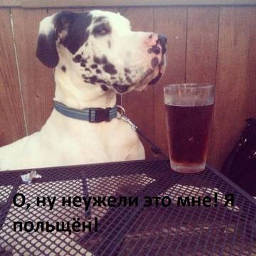 https://upforme.ru/uploads/001a/b7/a9/2/t654901.jpg