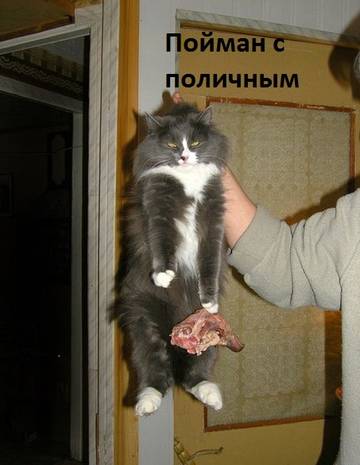 https://upforme.ru/uploads/001a/b7/a9/2/t659485.jpg