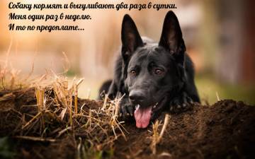 https://upforme.ru/uploads/001a/b7/a9/2/t680949.jpg