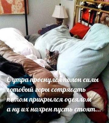 https://upforme.ru/uploads/001a/b7/a9/2/t682678.jpg
