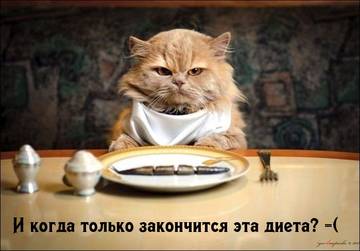 https://upforme.ru/uploads/001a/b7/a9/2/t738048.jpg