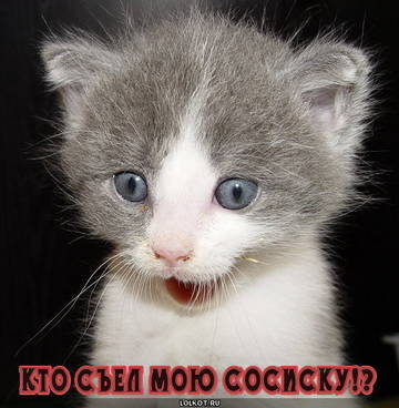 https://upforme.ru/uploads/001a/b7/a9/2/t74913.jpg