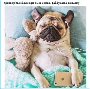https://upforme.ru/uploads/001a/b7/a9/2/t750797.jpg