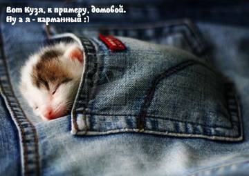 https://upforme.ru/uploads/001a/b7/a9/2/t753196.jpg