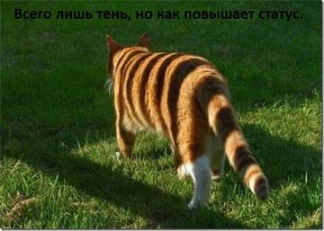 https://upforme.ru/uploads/001a/b7/a9/2/t758389.jpg