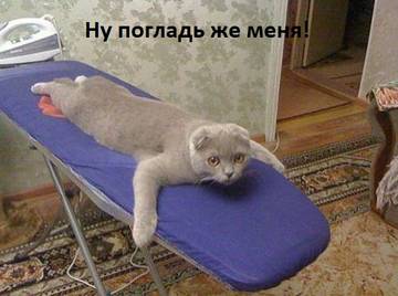 https://upforme.ru/uploads/001a/b7/a9/2/t76581.jpg
