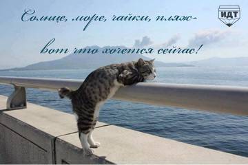 https://upforme.ru/uploads/001a/b7/a9/2/t774201.jpg