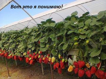 https://upforme.ru/uploads/001a/b7/a9/2/t80551.jpg