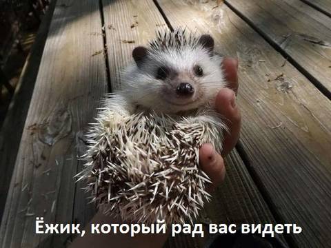https://upforme.ru/uploads/001a/b7/a9/2/t820109.jpg