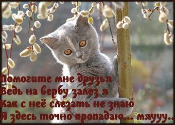 https://upforme.ru/uploads/001a/b7/a9/2/t824458.jpg