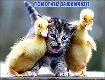 https://upforme.ru/uploads/001a/b7/a9/2/t829954.jpg