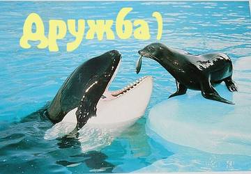 https://upforme.ru/uploads/001a/b7/a9/2/t830143.jpg