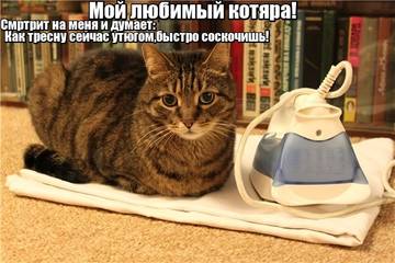 https://upforme.ru/uploads/001a/b7/a9/2/t853652.jpg