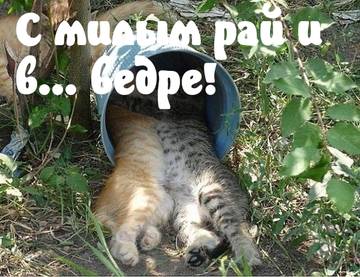 https://upforme.ru/uploads/001a/b7/a9/2/t857485.jpg