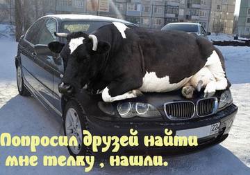 https://upforme.ru/uploads/001a/b7/a9/2/t882530.jpg