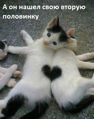 https://upforme.ru/uploads/001a/b7/a9/2/t897871.jpg
