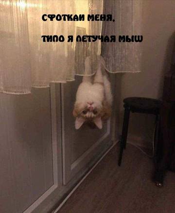 https://upforme.ru/uploads/001a/b7/a9/2/t898205.jpg