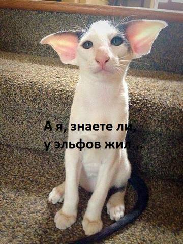 https://upforme.ru/uploads/001a/b7/a9/2/t914466.jpg