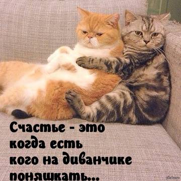 https://upforme.ru/uploads/001a/b7/a9/2/t931732.jpg