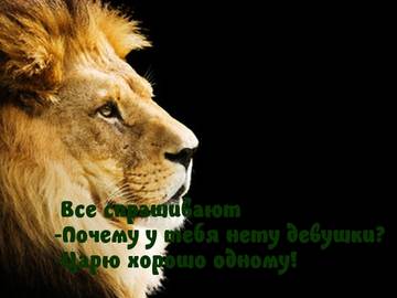 https://upforme.ru/uploads/001a/b7/a9/2/t943038.jpg