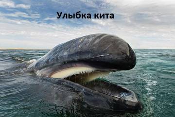 https://upforme.ru/uploads/001a/b7/a9/2/t962519.jpg