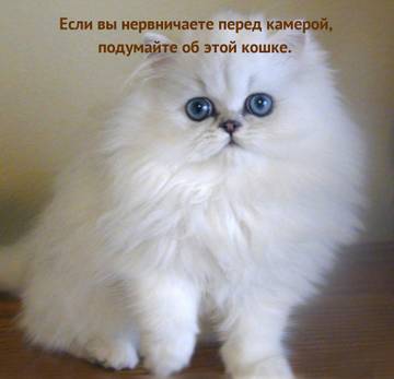 https://upforme.ru/uploads/001a/b7/a9/2/t996038.jpg
