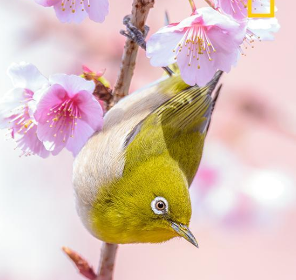 https://upforme.ru/uploads/001a/b7/a9/3/11339.png