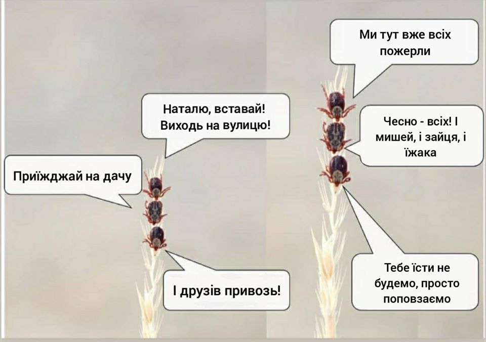 https://upforme.ru/uploads/001a/b7/a9/3/183884.jpg
