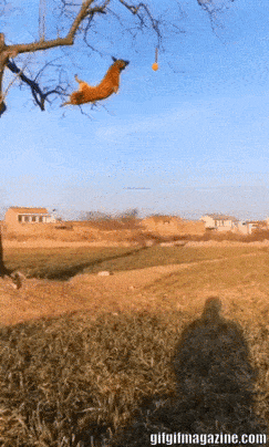https://upforme.ru/uploads/001a/b7/a9/3/47608.gif