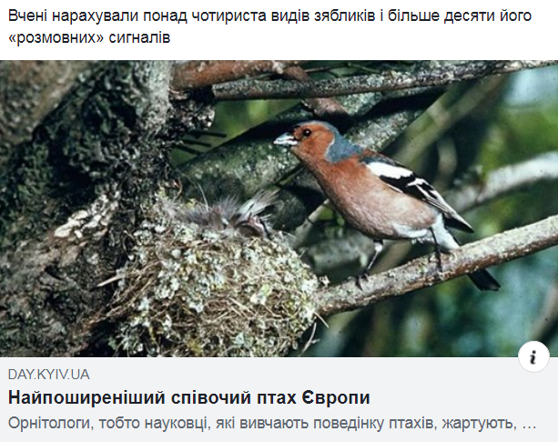 https://upforme.ru/uploads/001a/b7/a9/3/623671.png