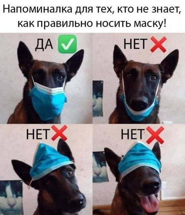 https://upforme.ru/uploads/001a/b7/a9/3/639105.jpg