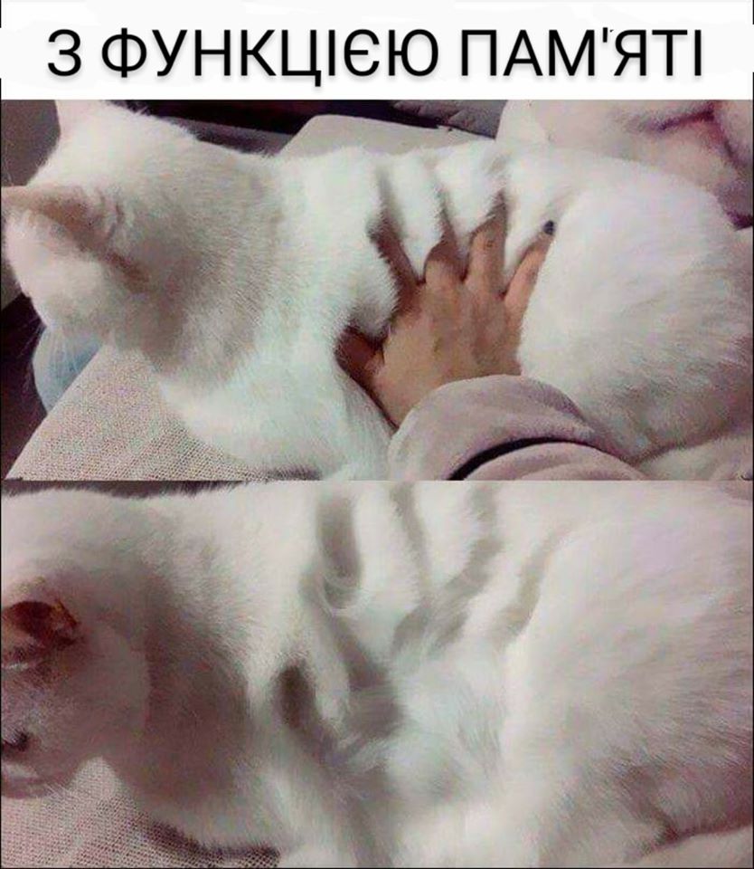 https://upforme.ru/uploads/001a/b7/a9/3/733349.jpg