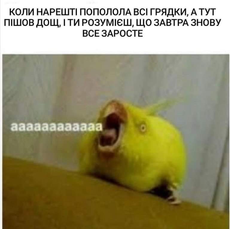 https://upforme.ru/uploads/001a/b7/a9/3/767187.jpg