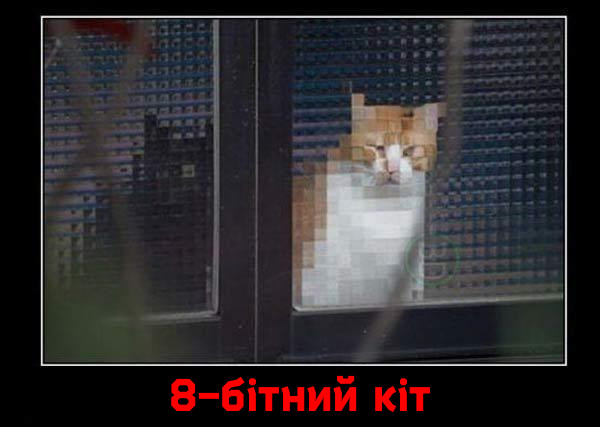 https://upforme.ru/uploads/001a/b7/a9/3/80915.jpg