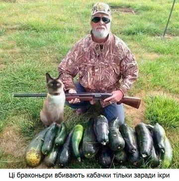 https://upforme.ru/uploads/001a/b7/a9/3/t131812.png