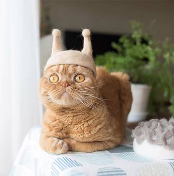 https://upforme.ru/uploads/001a/b7/a9/3/t171380.jpg